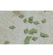 Baumblätter – Birke – grün