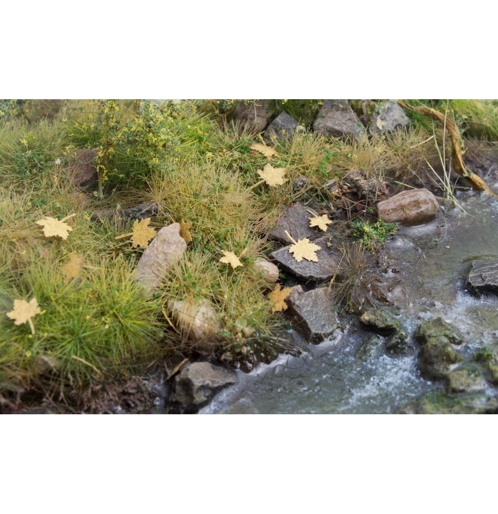 Baumblätter – Ahorn – zusätzliche Farben