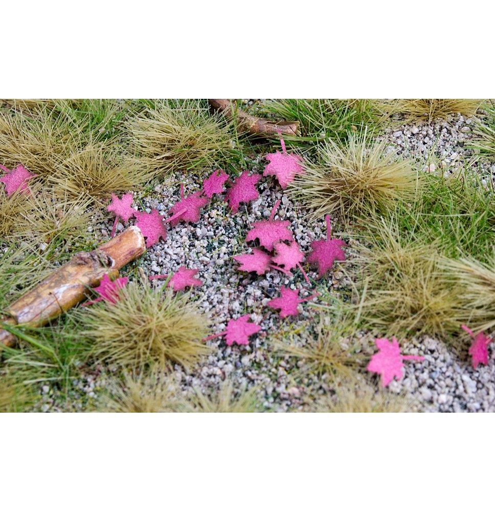 Baumblätter – Ahorn – trocken