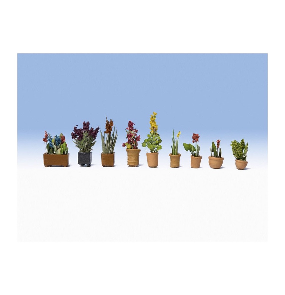 Zierpflanzen in Blumentöpfen