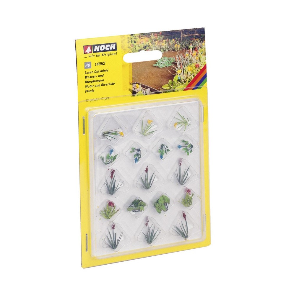 Wasser- und Uferpflanzen