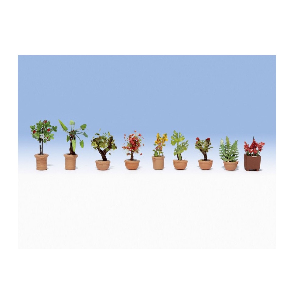 Zierpflanzen in Blumenkübeln