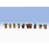 Blumen in Blumentöpfen